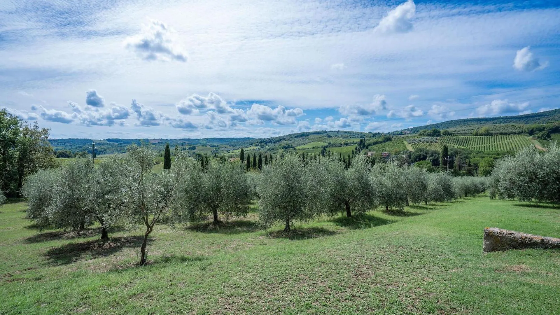 La Tesa Country House With Pool S. Gimignano San Gimignano Holiday home