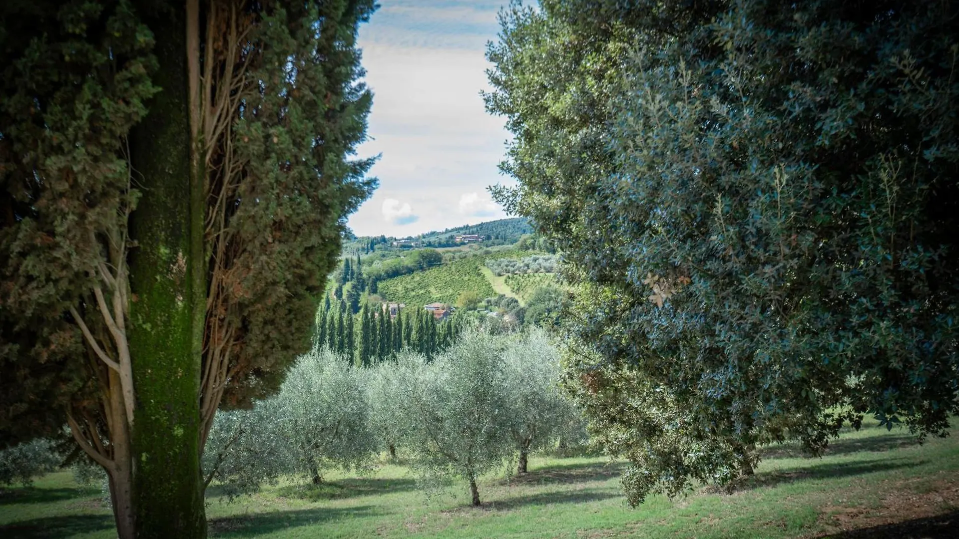 La Tesa Country House With Pool S. Gimignano San Gimignano
